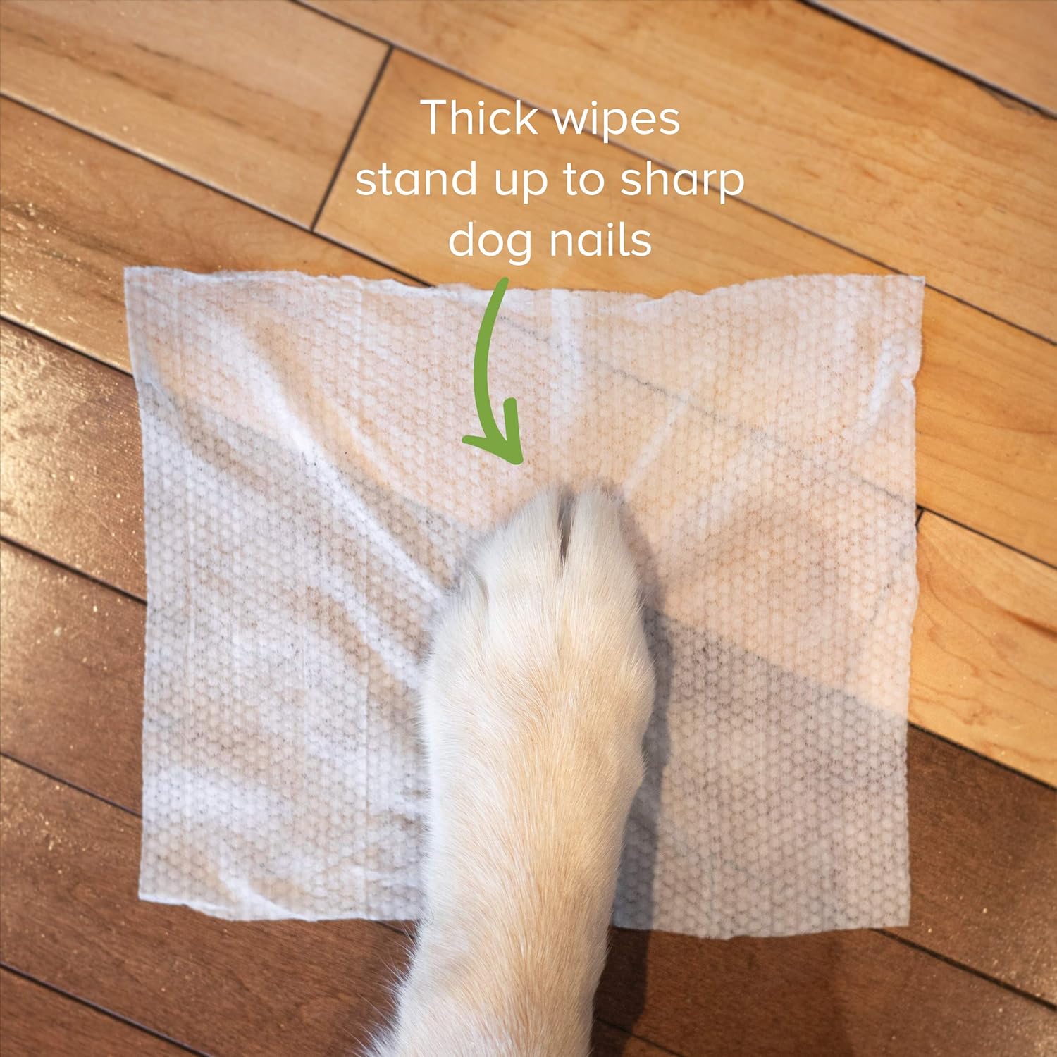 Earth Rated Dog Wipes, 100 Plant-Based and Compostable Wipes for Dogs, USDA-Certified 99 Percent Biobased, Hypoallergenic, Unscented 8x8 Deodorizing Grooming Pet Wipes for Paws, Body and Butt