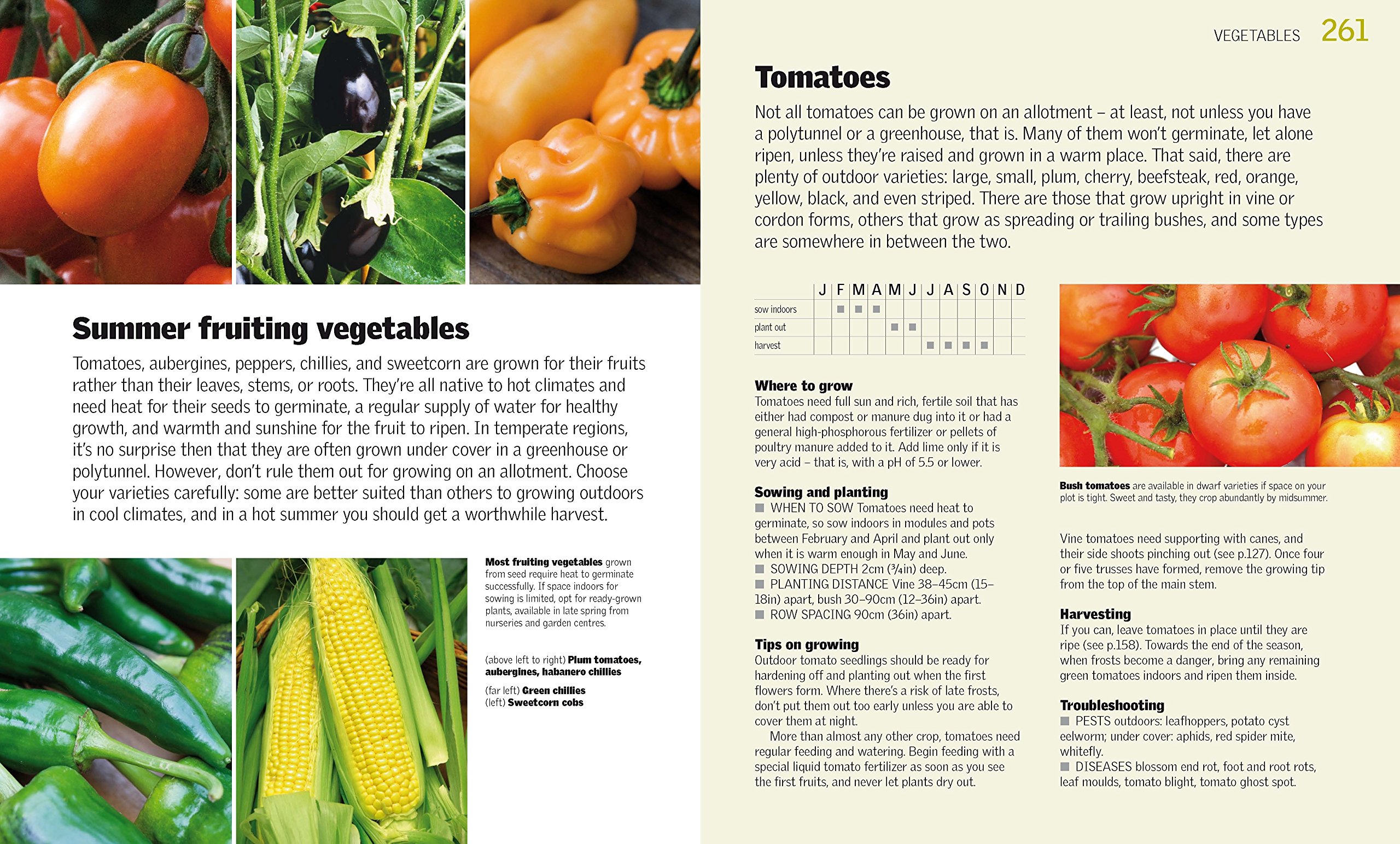 [- Allotment Month by Month: How to Grow Your Own Fruit and Veg -]