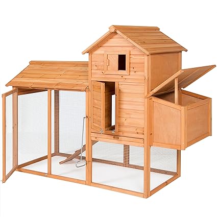 Old Playhouse Turned Chicken Coop Your Projects At Obn