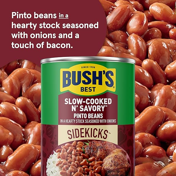 BUSH’S BEST 15OZ CANNED SLOW-COOKED N’ SAVORY PINTO BEANS, SOURCE OF PLANT BASED PROTEIN AND FIBER, LOW FAT, GLUTEN FREE