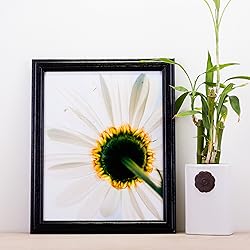 Craig Frames Wiltshire 236, Simple Black Hardwood