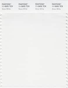 PANTONE Smart 11-0602X Color Swatch Card, Snow White - House Paint ...