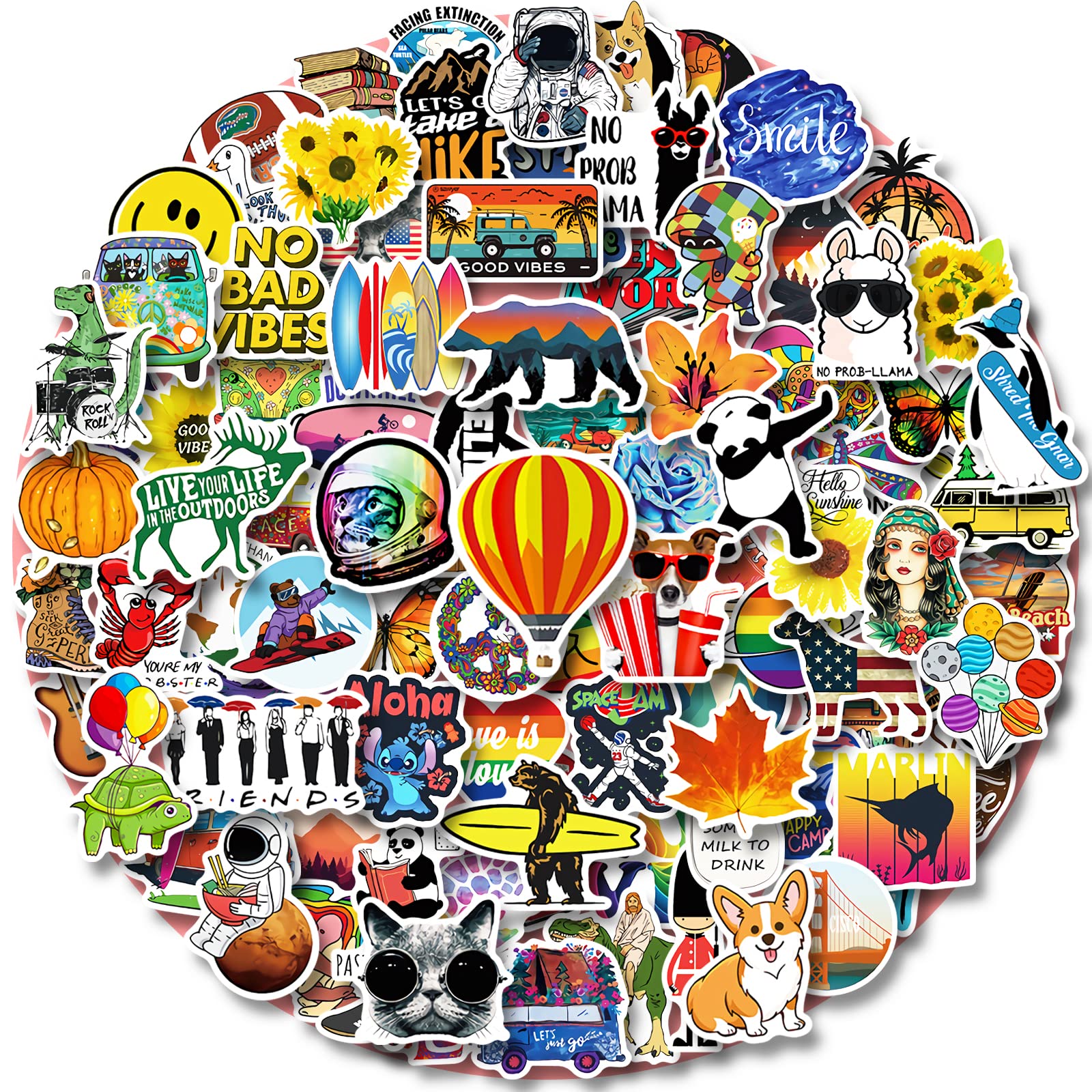 100 PCS Water Bottle Stickers for Kids Teens Girls Adults, Aesthetic Cute Vinyl Waterproof Vsco Cool Stickers, Laptop Scrapbook Skateboard Computer Car Sticker Packs