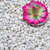 GARDENWISE Perlite for Plants, Extra Coarse Grade 4 Horticultural Perlite, Organic Perlite for Gardening Indoor &amp; Outdoor, Made in USA (3 quarts)