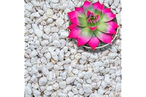 GARDENWISE Perlite for Plants, Extra Coarse Grade 4 Horticultural Perlite, Organic Perlite for Gardening Indoor & Outdoor, Made in USA (3 quarts)