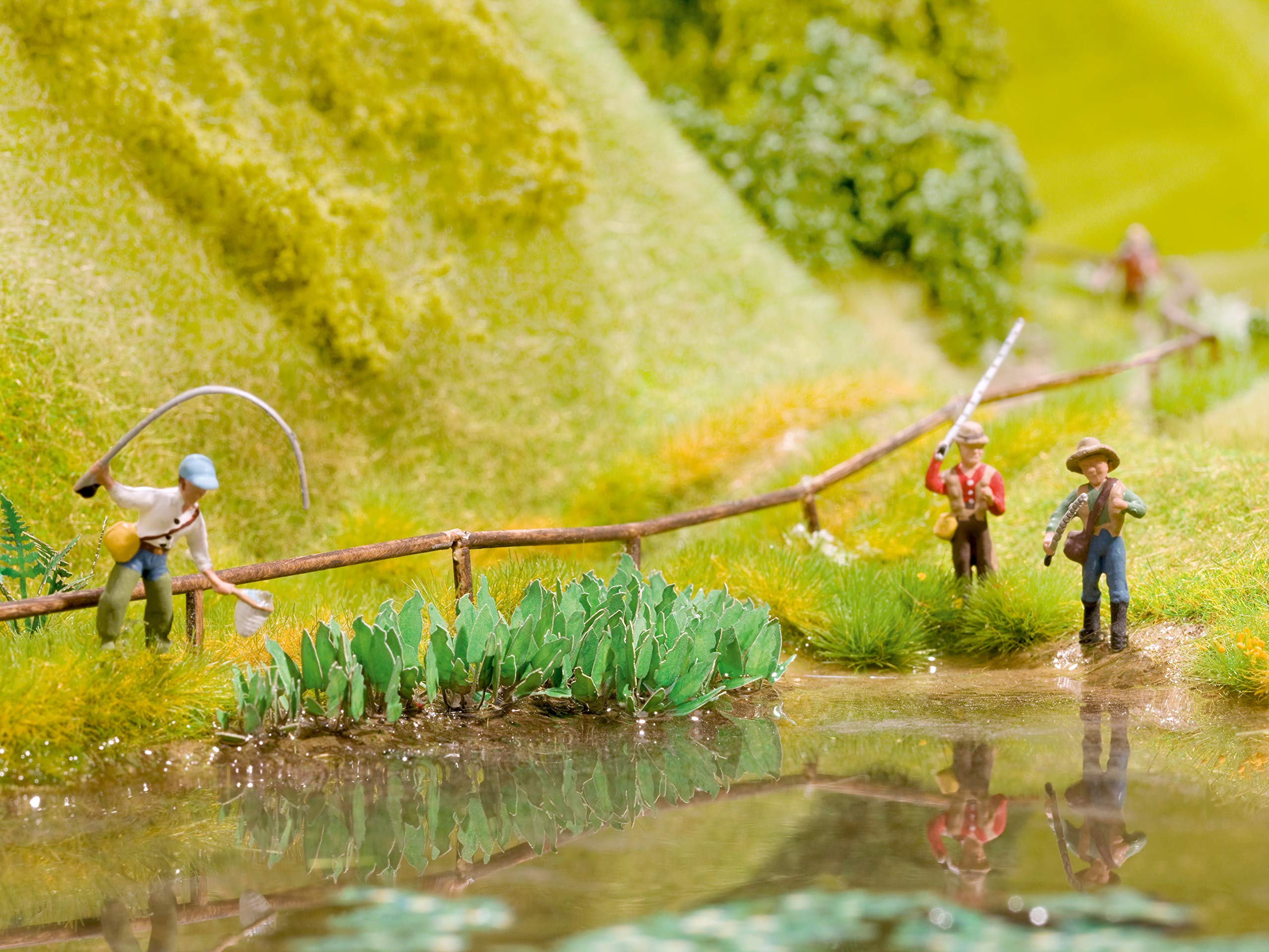 Noch 14104 Knotgrass Landscape Modelling