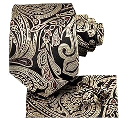 Hi-Tie 3 Pcs Gift Box Mens Tie Set Necktie with