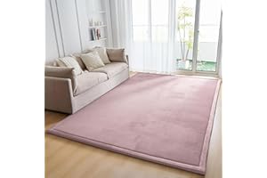 ALEGTER Pink Coral Pile Carpet with Non-Slip Backing on Reverse Side of Floor mat Large Solid Color mat Suitable for Living Room Bedroom Yoga Mat Baby Crawling Mat,39''x 75"