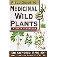 Field Guide to Medicinal Wild Plants