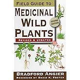 Field Guide to Medicinal Wild Plants