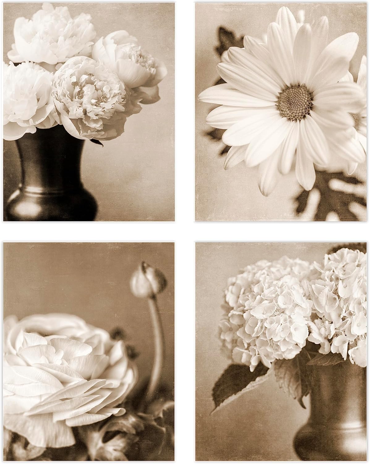 Photographs - LISA RUSSO FINE ART - Sepia Flowers Wall Art Prints - Set of 4 5x7” Unframed Photographs - Vintage Look Floral Artwork for Bathroom, Bedroom, Office Home Decor