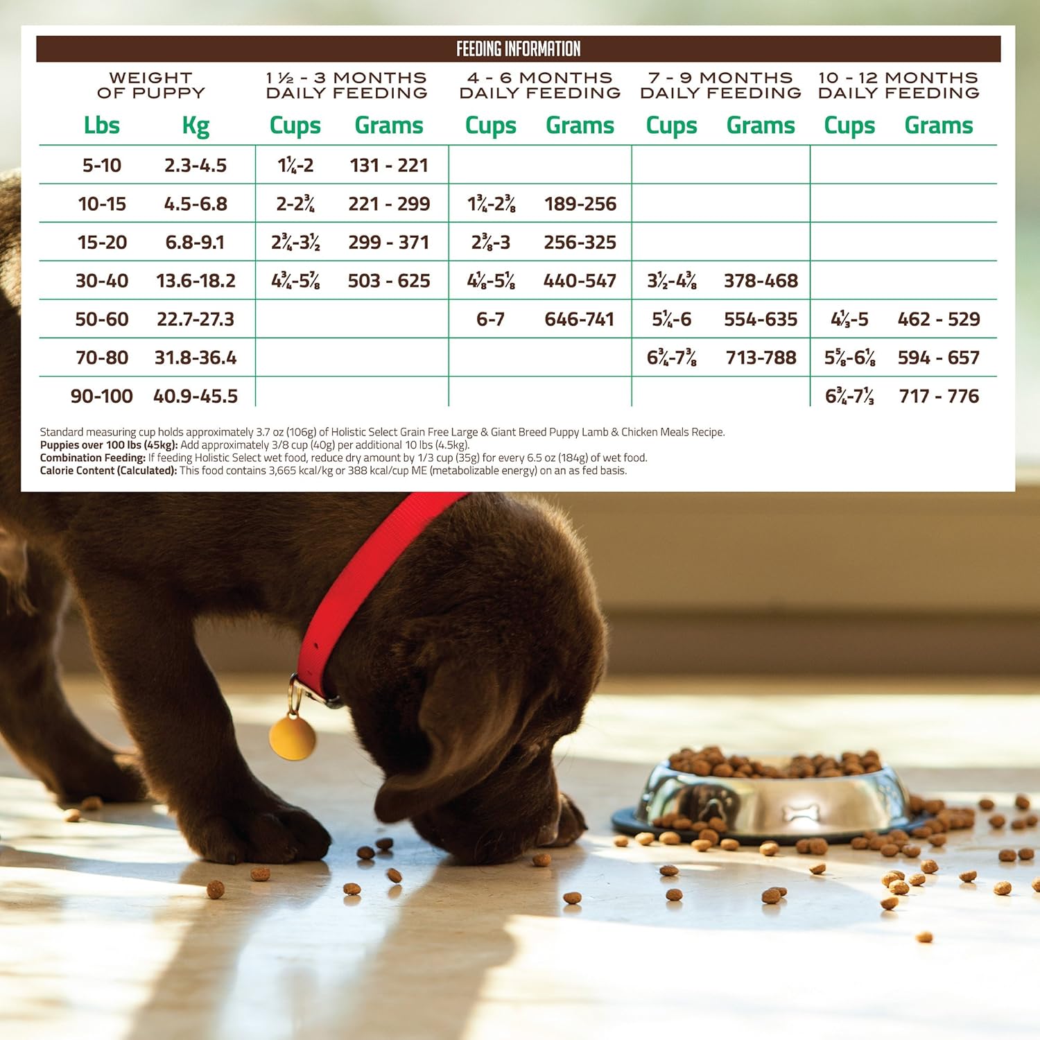 holistic select large breed puppy food