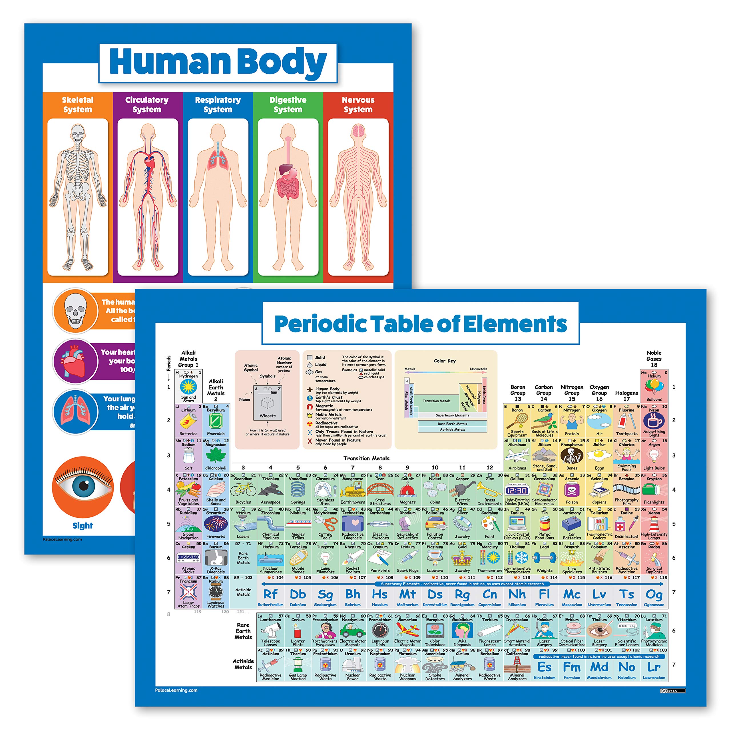 What Are The Five Elements Of The Human Body