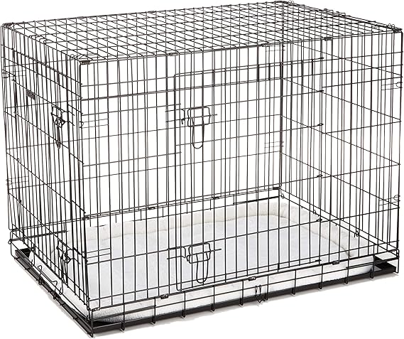 ellie bo gold dog crate