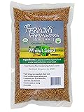 Certified Organic Hard Red Winter Wheat Seed