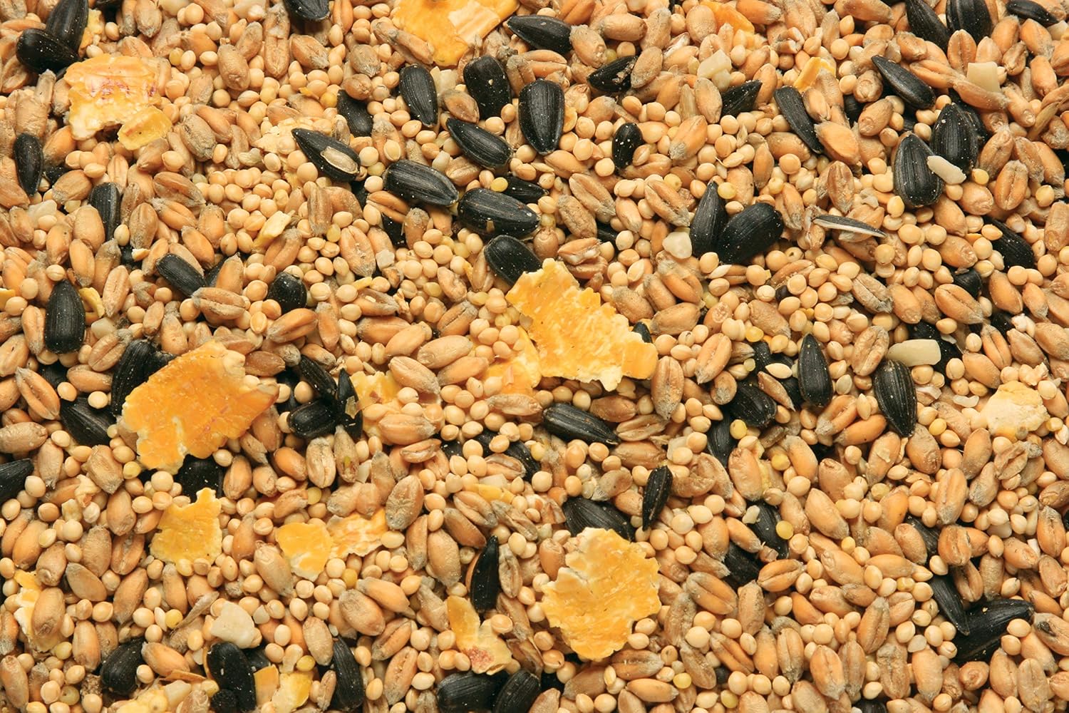 Copdock Mill Summer Wild Bird Seed Mix 20kg, High in Energy, Vitamins and Minerals Ideal for Breeding Months - Image 3