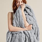 Bedsure GentleSoft Blankets Queen Size for Bed - Super Soft Cozy Blanket for Women Men Girls, Large Fuzzy Fleece Throw for Bedroom Decor, Silver Grey, 90x90 Inches