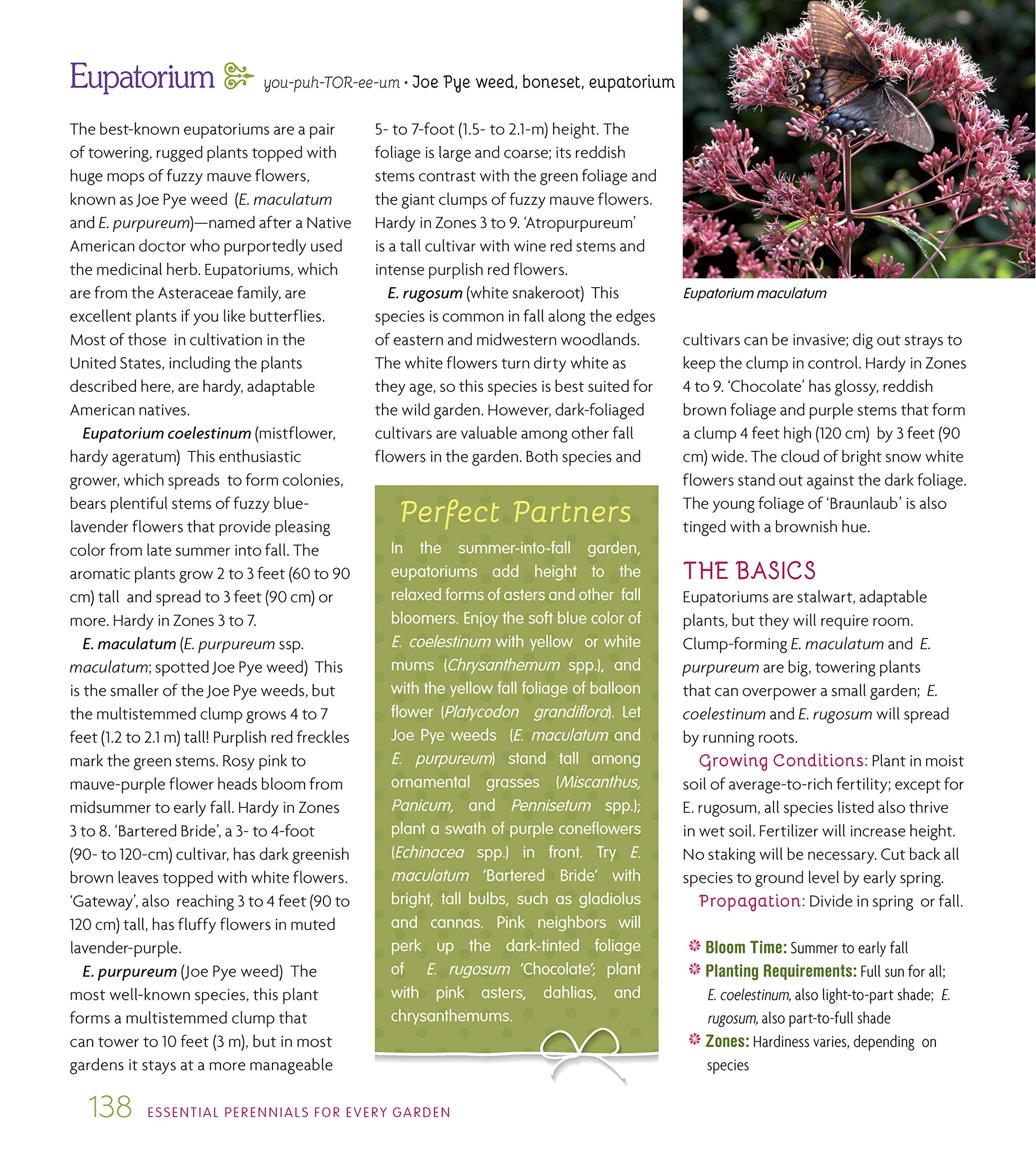 Essential Perennials for Every Garden: Selection, Care, and Profiles for Over 110 Easy-Care Plants (CompanionHouse Books) Gardening Advice for Design, Extending the Flower Growing Season, and More