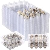 60 Pcs Quail Egg Cartons, Cheap Bulk Plastic Square Dozen Egg Carton | Classical 3x4 Style Holds Up to Twelve 12 Count Small Quail Pigeon Eggs, Boxes Tray Basket Container for Refrigerator