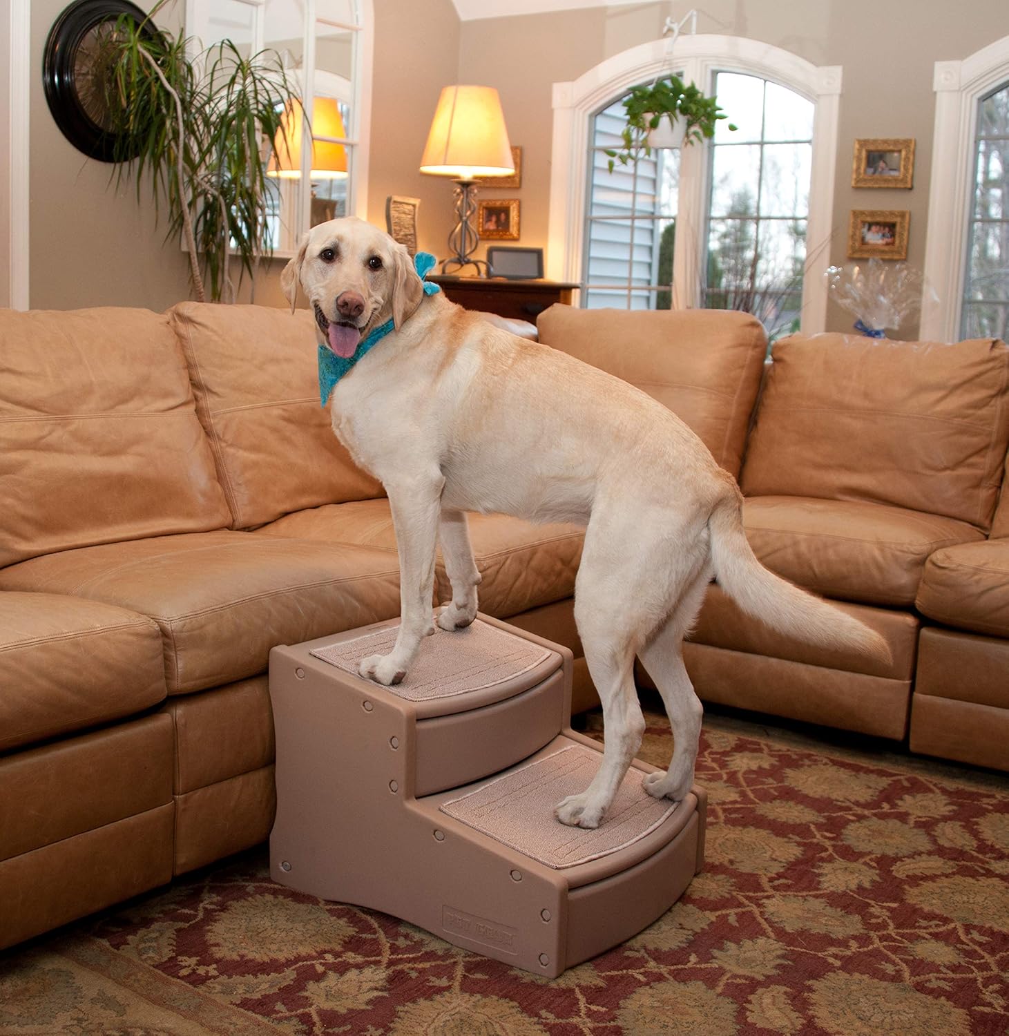 Pet Gear Easy Step II Extra Wide Pet Stairs, 2-step/for cats and dogs up to 200-pounds, Tan : Pet Supplies