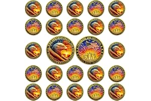 BHealthLife 24Pcs Military Challenge Coins Bulk Pack Veterans Soldiers Thank You Gifts Appreciation Coins - Thank You for Your Service