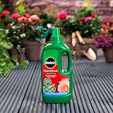Miracle-Gro Rose & Shrub Concentrated Liquid Plant Food 1 Litre view 5