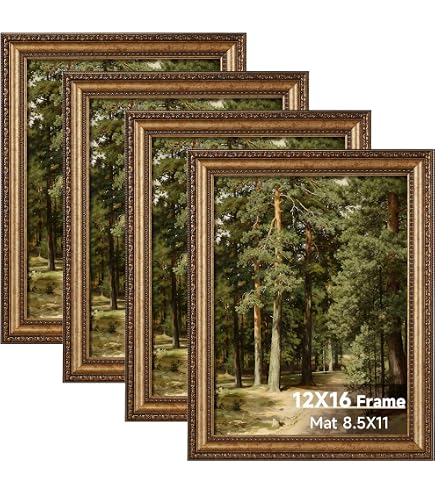 Amazon.com - Splinterix 12x16 Picture Frame Gold Vintage, Matted