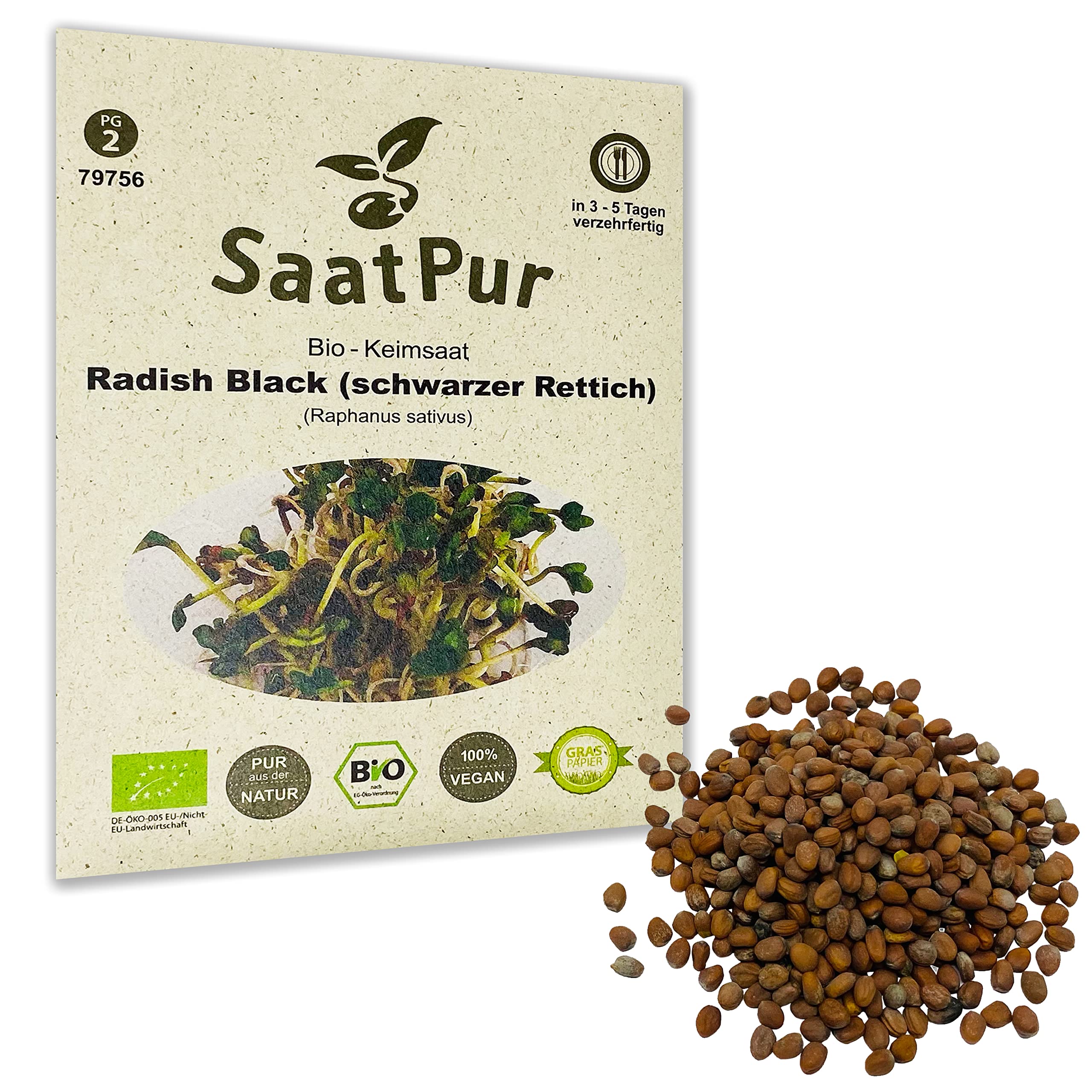 SaatPur Organic germination sprouts - black radish radish black - sprouts/microgreen - 50 g