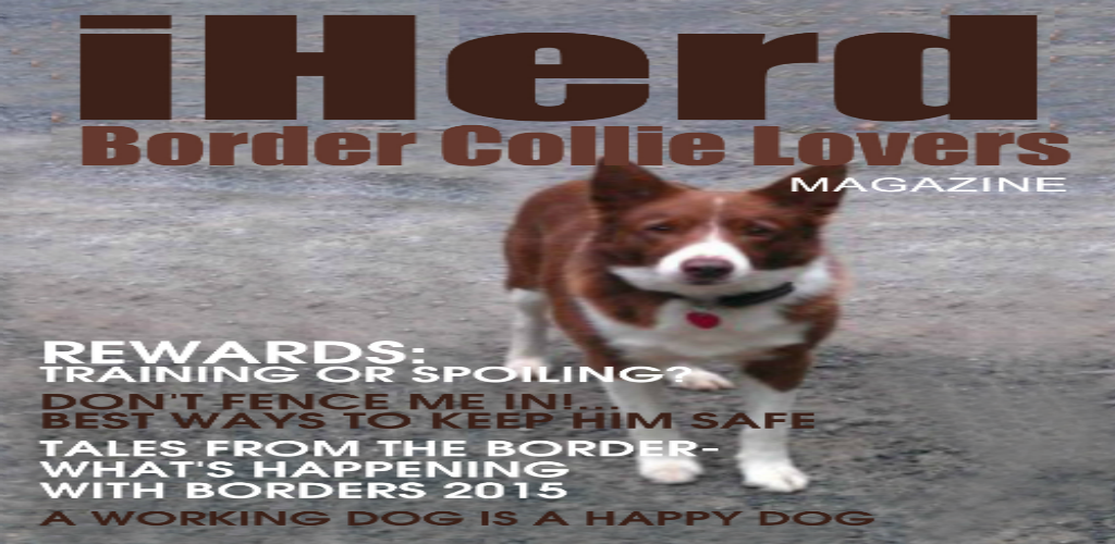 iHerd:Border Collie Lovers magazine
