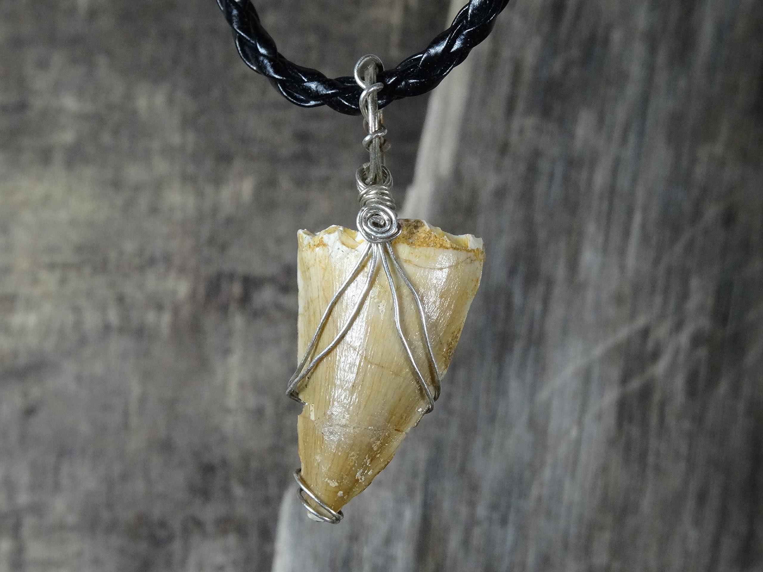 Mosasaurus Tooth Pendant, Sterling Silver Dino Tooth, Real Dinosaur Fossil Pendants, Dino Jewelry, Vulture Culture, Oddities and Curiosities