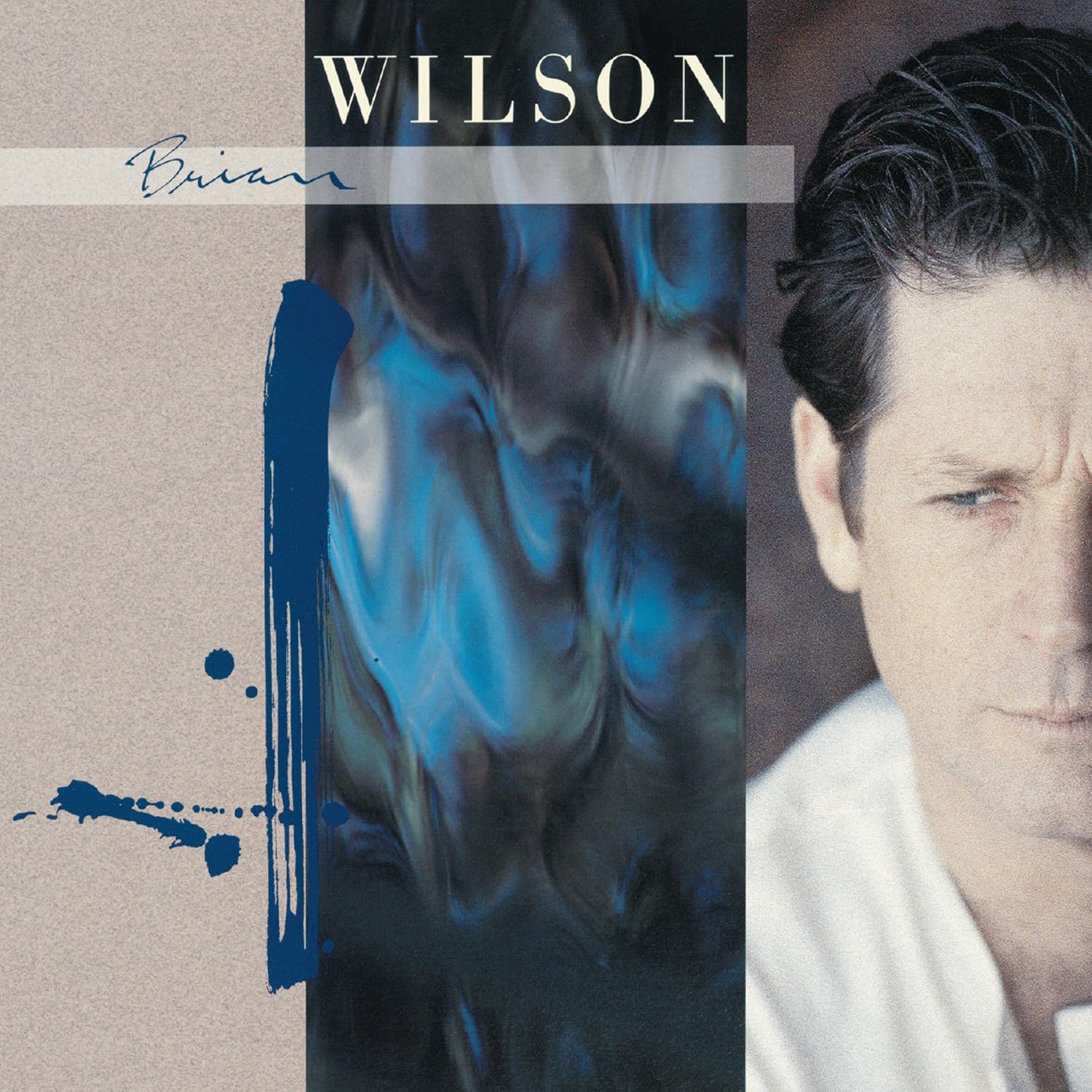 Brian Wilson Brian Wilson, Brian Wilson Amazon.fr Musique