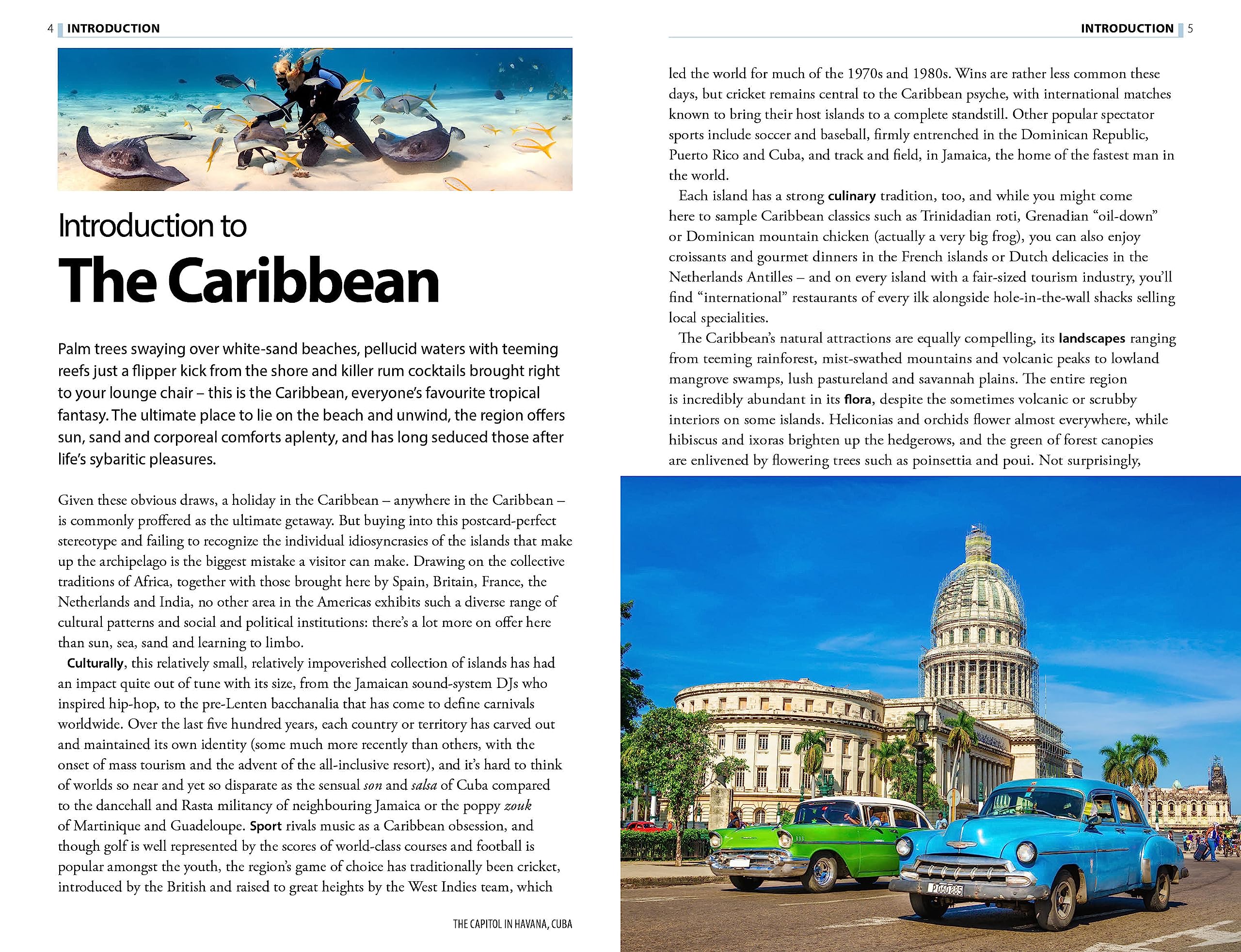 The Rough Guide to the Caribbean (Travel Guide with eBook) (Rough Guides Main Series)