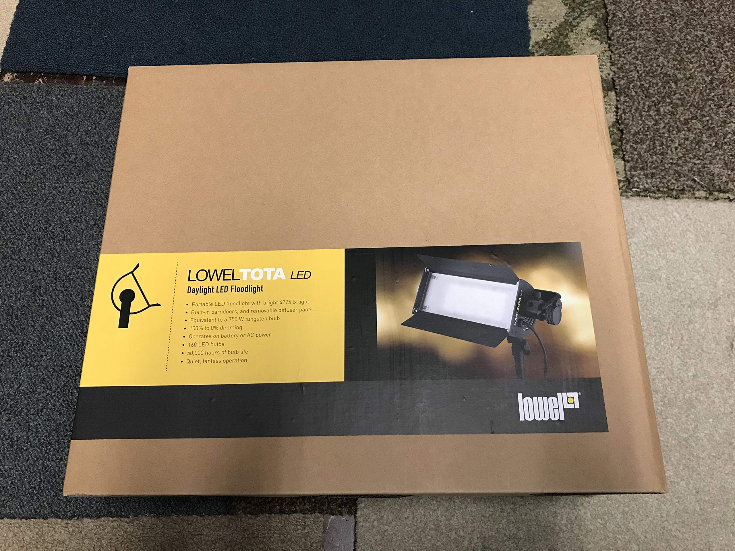 Lowel TotaLED Daylight LED Floodlight