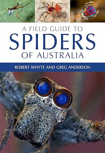 Download A Field Guide to Spiders of Australia PDF