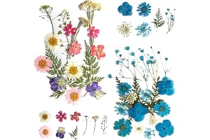 OSOPOLA Real Dried Pressed Flowers Leaves - 34Pcs Real Natural Colorful Pressed Flowers Leaves for Resin Jewelry Nail Art Greeting Card Scrapbooking DIY Crafts Aromatherapy Jewelry Soap Candle Making ZX10BP