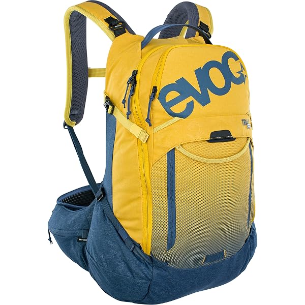 Amazon.com: Dakine Womens Team Mission Pro 25L Jill Perkins