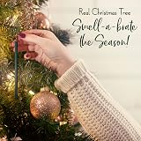 Scentsicles Spiced Pine Cone Ornaments (Pack of 6) - Christmas Scent view 5