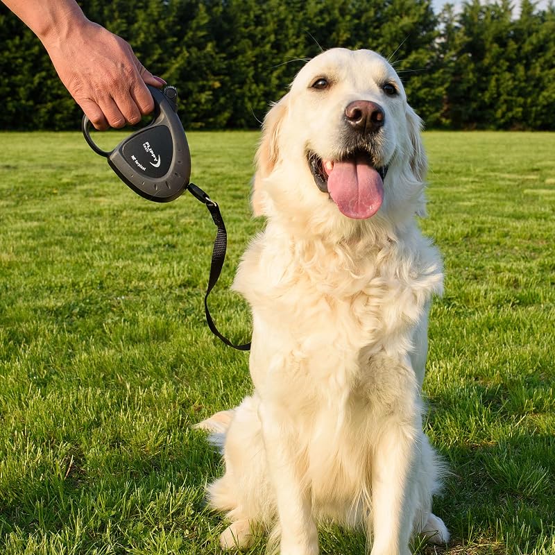 Laisse Chien Enrouleur FLIPPY TECH, Laisse Chiens de Taille Moyenne jusqu'à 25 Kg. Sangle Extensible max 3 m. Bouton de verrouillage et de déverrouillage unique, violet