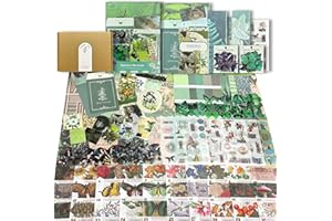 VJAIHOA 279pcs Scrapbook Supplies Kit, Vintage Aesthetic Scrapbook Paper, Journaling Aesthetic, Butterfly Decals, DIY Collage, Ephemera, Floral Junk Journal, Bullet Journals(Wild Tale in The Forest)