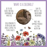 Seedball Butterfly Mix Seed Bombs 100 Pack Wildflower Seeds view 5