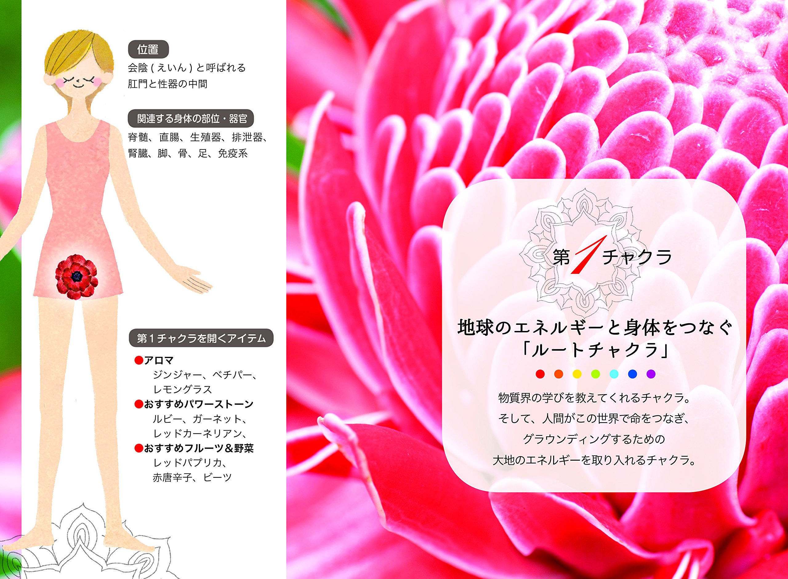 バリ島のミラクルであなたのチャクラはもっと輝く 7つのチャクラで宇宙とつながって 幸せも豊かさも引き寄せる Amazon Com Books