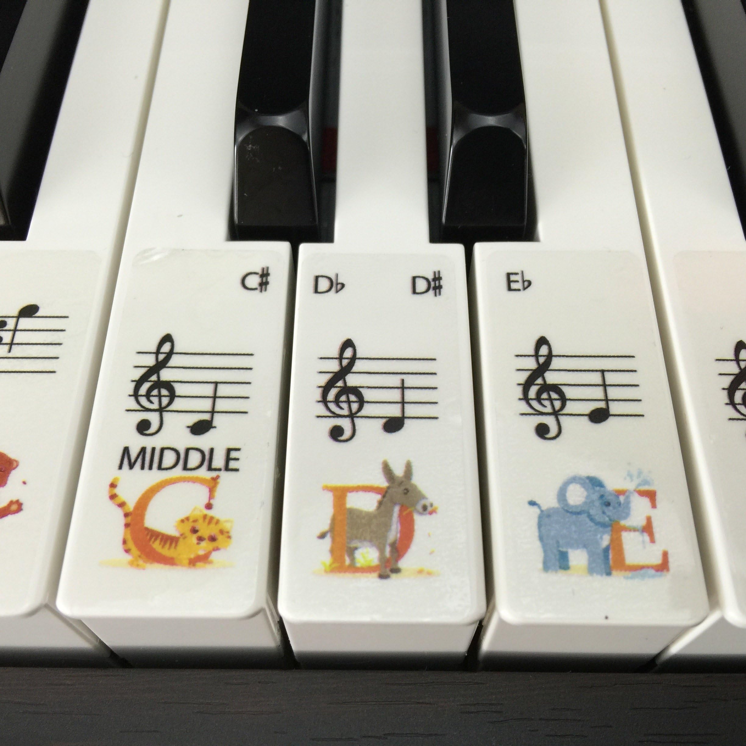 CLEAR ANIMAL Children's piano/keyboard stickers for up to 88 keys (88 KEY SET)
