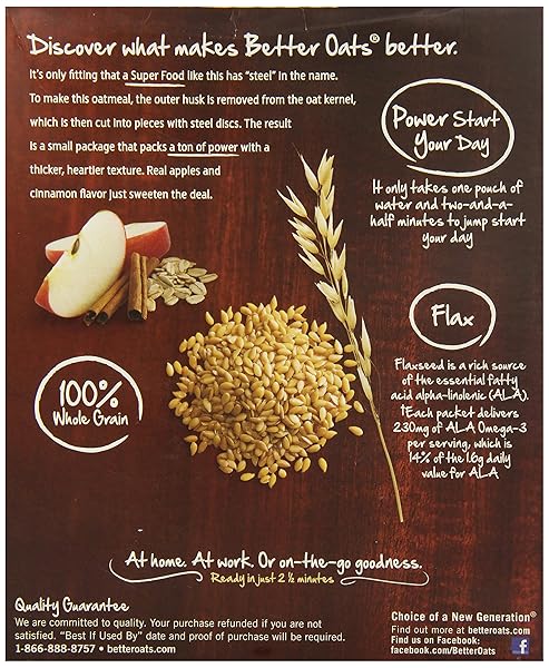 BETTER OATS STEEL CUT OATS WITH FLAX, APPLES AND CINNAMON, 10 POUCHES (PACK OF 2)