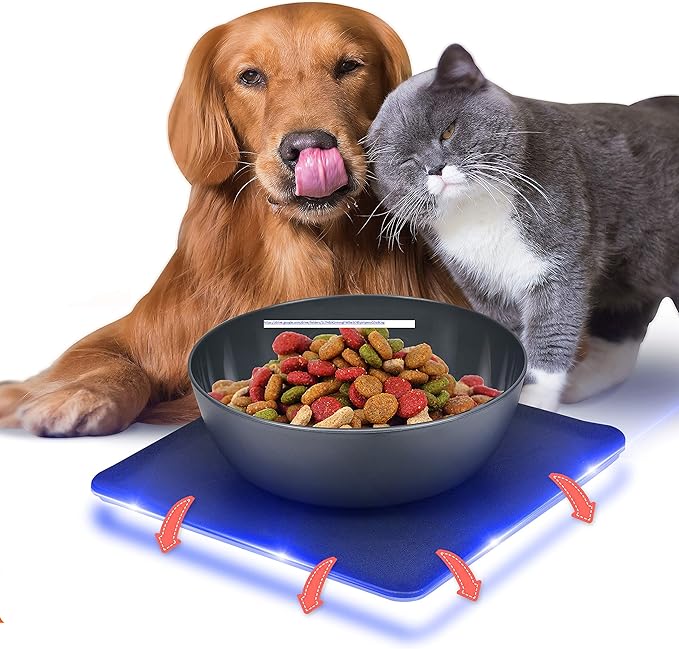 no freeze dog water bowl