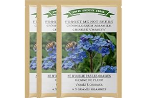 Forget Me Not Seeds (Approx. 600 Seeds x 3 Packs -Cynoglossum amabile) Garden Delights Vibrant Blooms, Easy to Grow