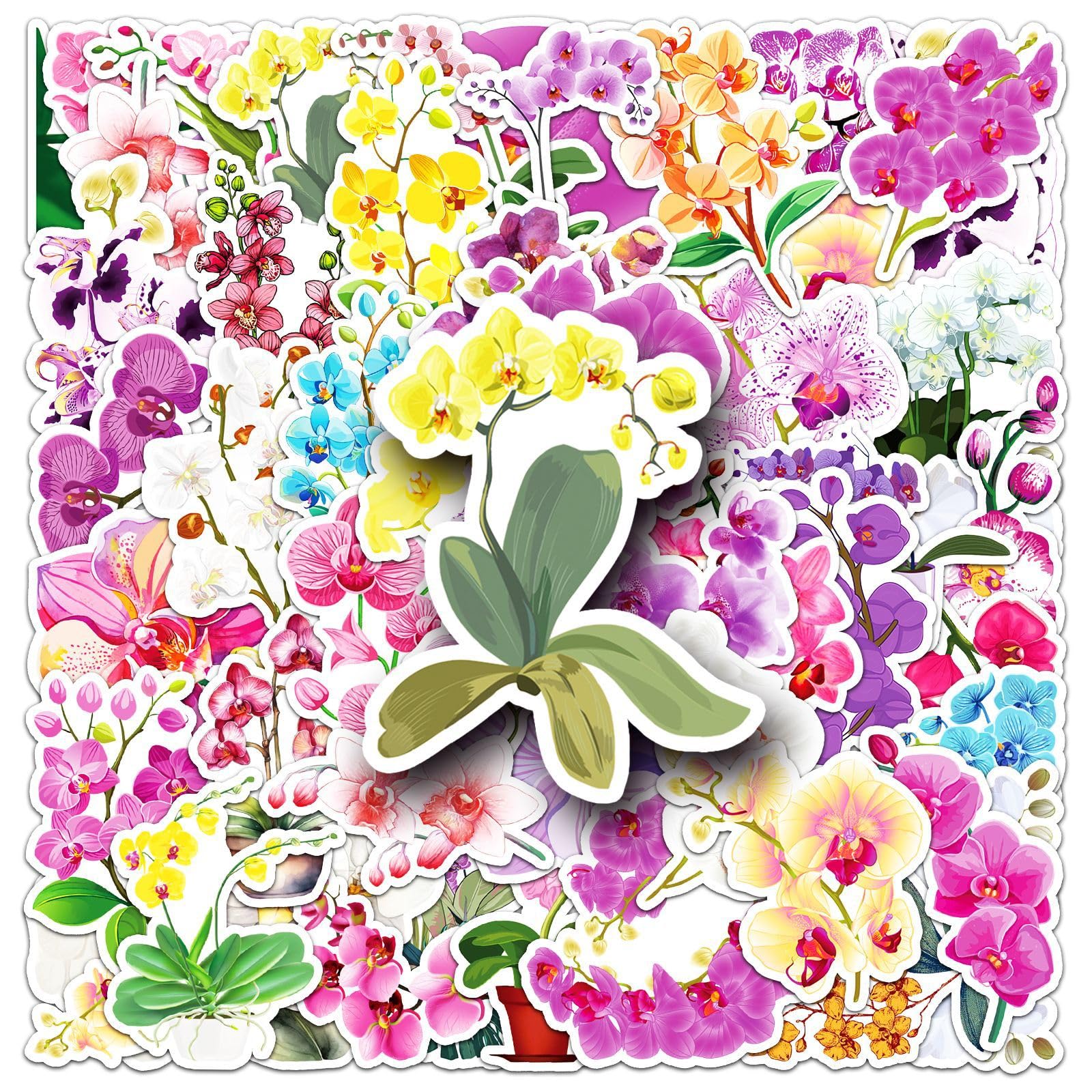 50Pcs Orchid Stickers for Helmet,Water Bottle,Computer,Car,Laptop,Scrapbook,Bike,Phone, Luggage,Boys Adults Gift,Cute Flowers Plant Waterproof Sticker,Aesthetic Butterfly Orchid Vinyl Decal