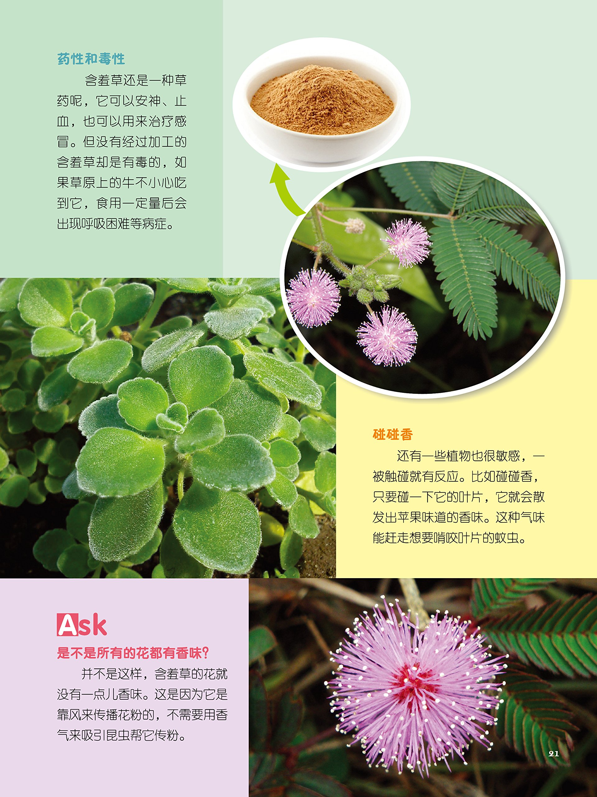 金色童书 儿童科学启蒙图典 有趣的植物 本 通販 Amazon