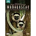 Madagascar (2011)