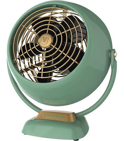 Amazon.com: Deco Breeze Pedestal Standing Floor Fan, Indoor 3
