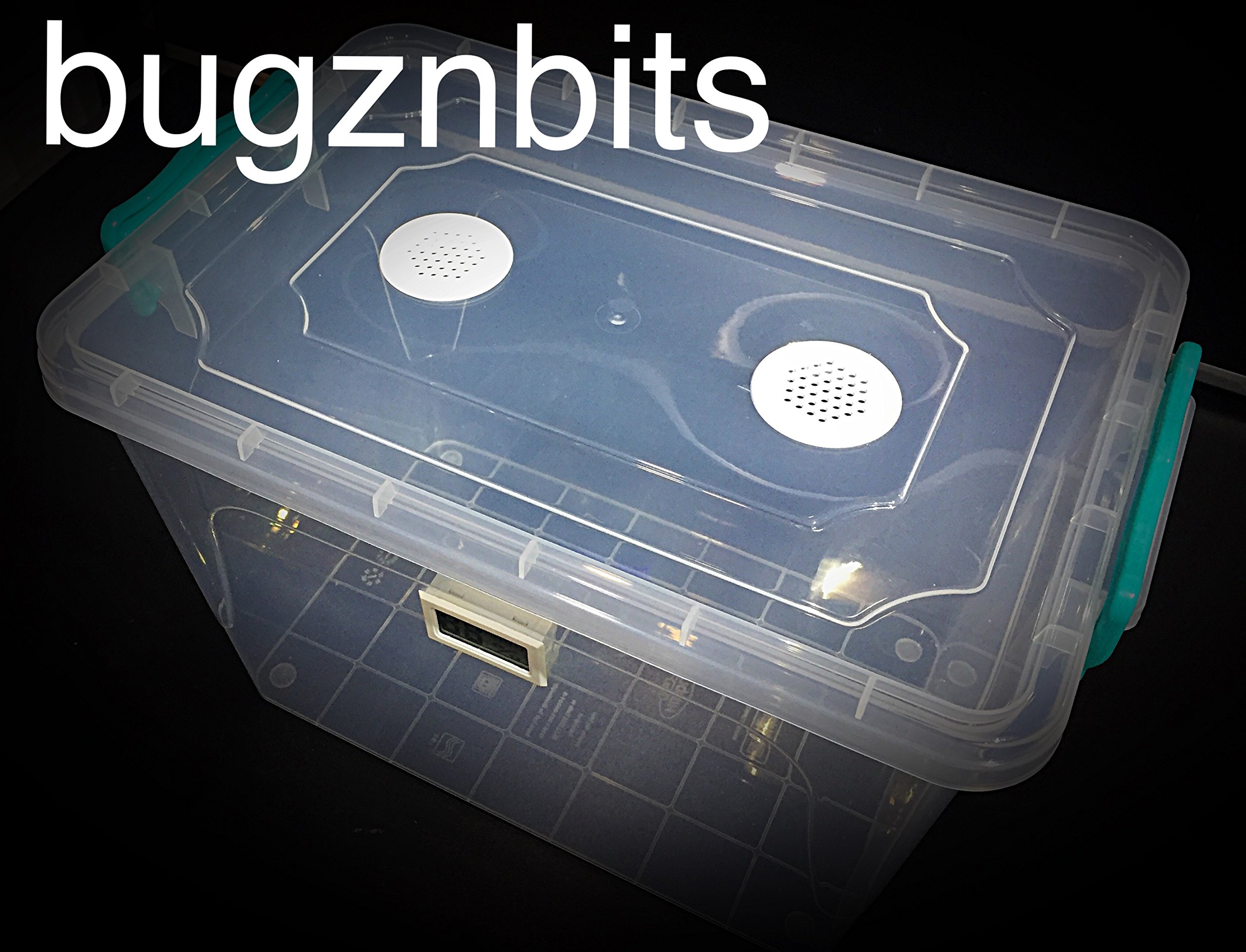 bugznbits Tall enclosure suitable for many types of pets and insects